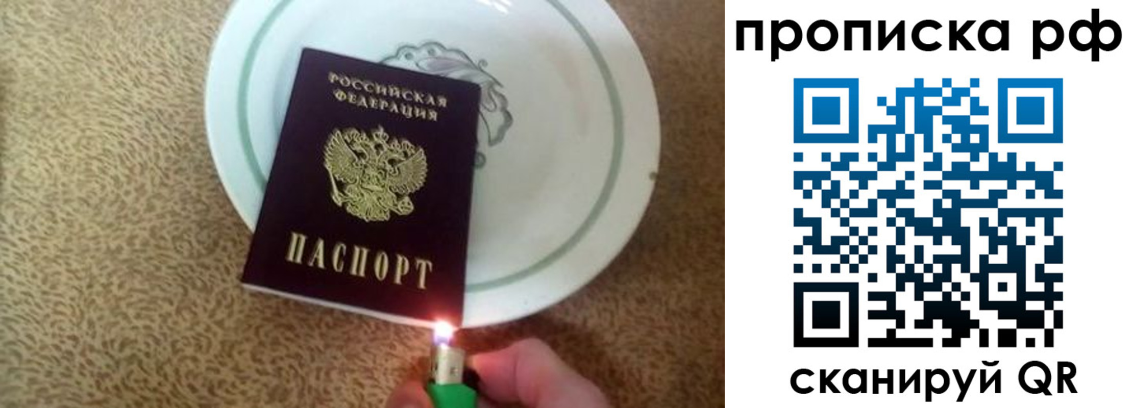 прописка в квартире в Волгоградской области